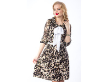 ������ �5-2036