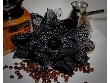 ������ ���� �������  150 ���.jpg