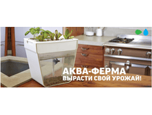 ����-����� 3735�.+%