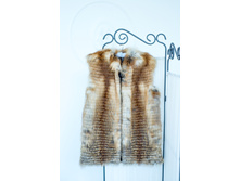 ���� ���������� �������