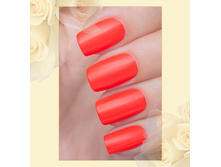 143 ����.jpg