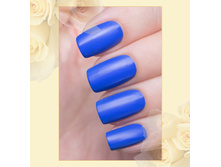 146 ����.jpg