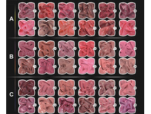 MG-163   72,52 ���