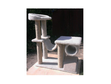 *������� �������� "����"