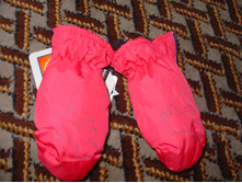 DSC08322.JPG