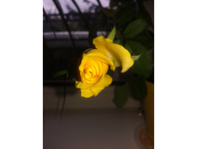 20140816_124811.jpg