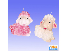 ����� "������� �����" 56 ���.