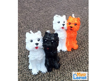 �����. ����������� �������. ������� 76 ���.