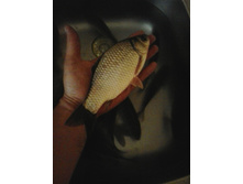 2014-08-16 15.42.27.jpg