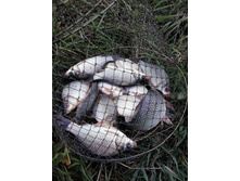 2014-08-16 13.49.03.jpg