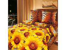 ������ ����.jpg