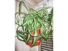 ���������� �����.JPG