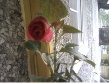 P09-08-14_06.47.jpg