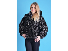 ��������� Feliz PSH-10, ���� 2000 �..jpeg