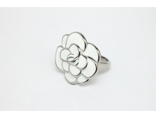 ������ �120109-01R170.jpeg