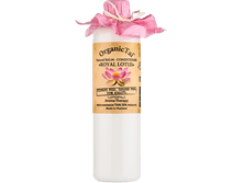 ����������� �������-����������� ����������� ����� 260�� 390���