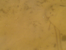 IMAG3223.jpg
