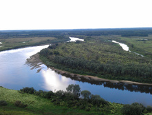 IMAG3244.jpg