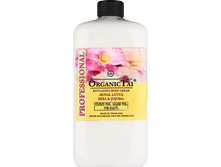 �������������� ���� ��� ���� ����������� �����, �� � ������ 1000�� 1665���