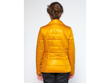 ������ ����