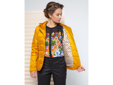 ������ ���� ����