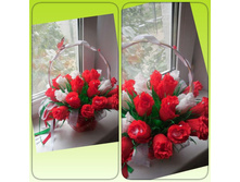 20140817_210549-kdcollage.jpg