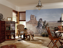 8-473 Lone Ranger ����. 368-254��. � ���������.jpg