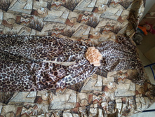 2014-05-29 15-24-07.JPG