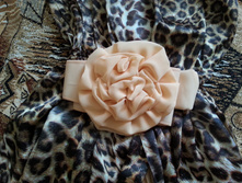 2014-05-29 15-24-22.JPG