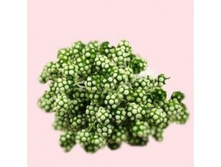 ������� ������-��̣���,���� �� �����-45 ���.+���.%