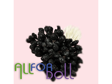 ������� ޣ���� � �̣������,���� �� �����-62 ���.+���.%