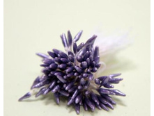 ������� ����������,������, ���� �� �����-51 ���.+���.%