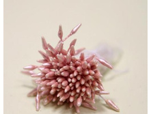 ������� ������� ������,���� �� �����-51 ���.+���.%