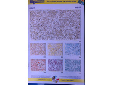 ��*�� 1485 ���./��.jpg