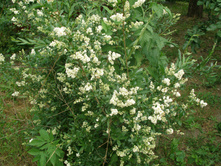 �������� �����.*)