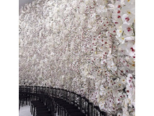 ��� ������ �������