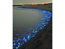 � ��� ������ (�������. ������������ �����)