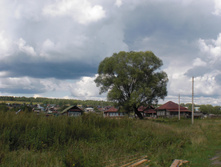 CIMG7159.JPG