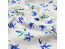 ����� ������- �����������