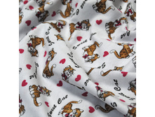 �����- �����������