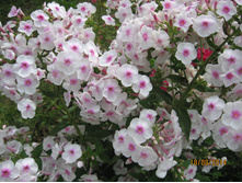 �������,������� ����� �������� �����