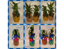 20140818_205030-kdcollage.jpg