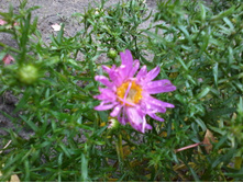 ����� ����. ����. �����..jpg