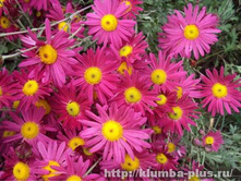 ���������� ������� �����.jpg