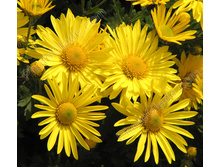 ���������� ������� ���������.jpg