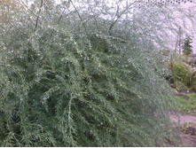 ������ � ����� 1.jpg