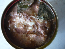 ������������� �����