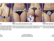 Piola ¦-¦¦¦¬T�¦¦.jpg