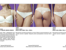 Apolo ¦-¦-¦¬¦-T�¦-T�¦¦.jpg