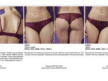 Apollo ¦-¦-T�¦+¦-¦-T�¦¦.jpg